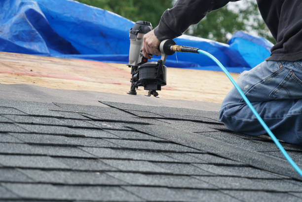 Best Roof Gutter Cleaning  in Grapeland, TX