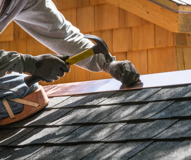 Best Roof Repair Services  in Grapeland, TX